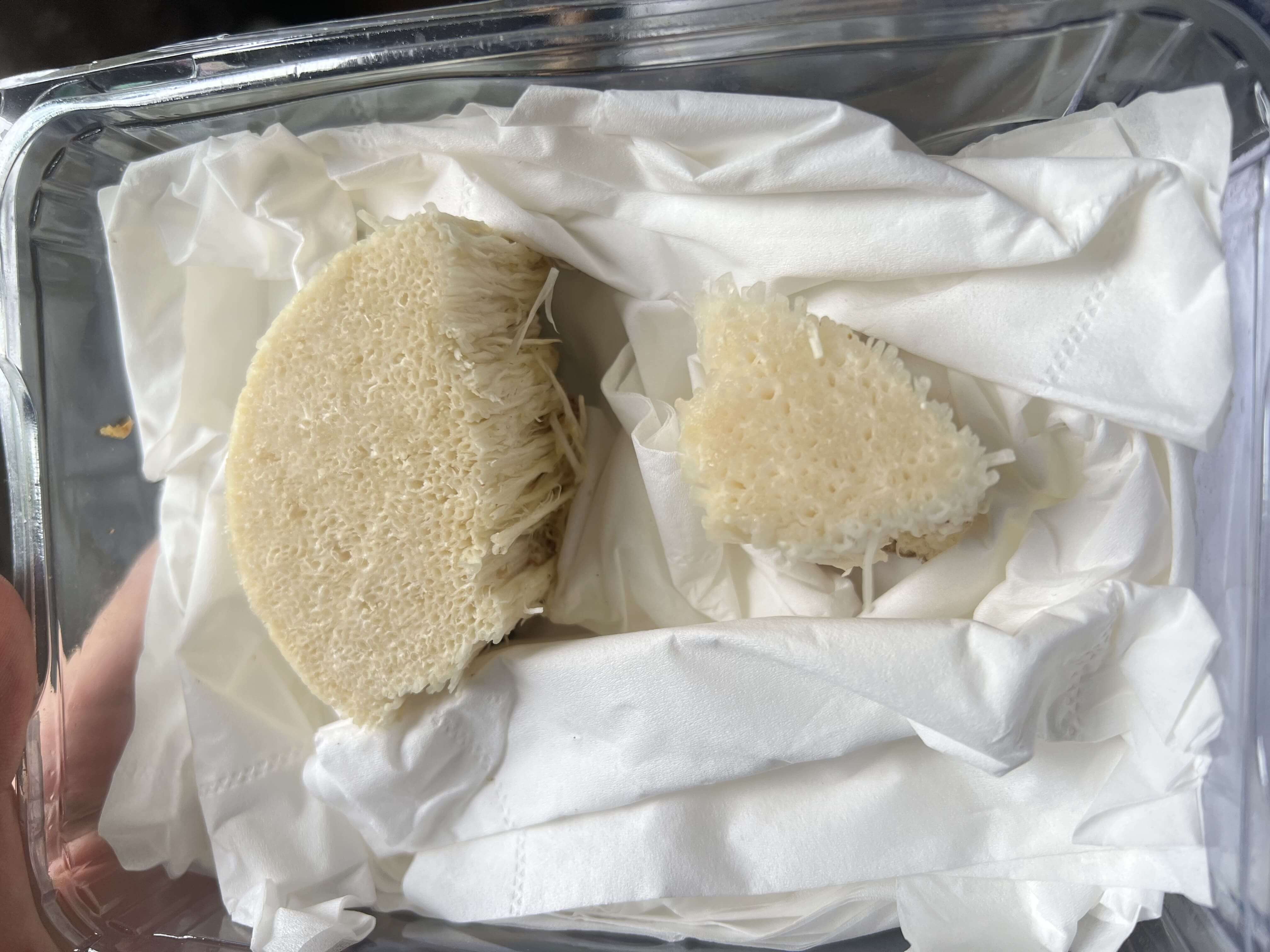 会再长出新的金针菇吗?