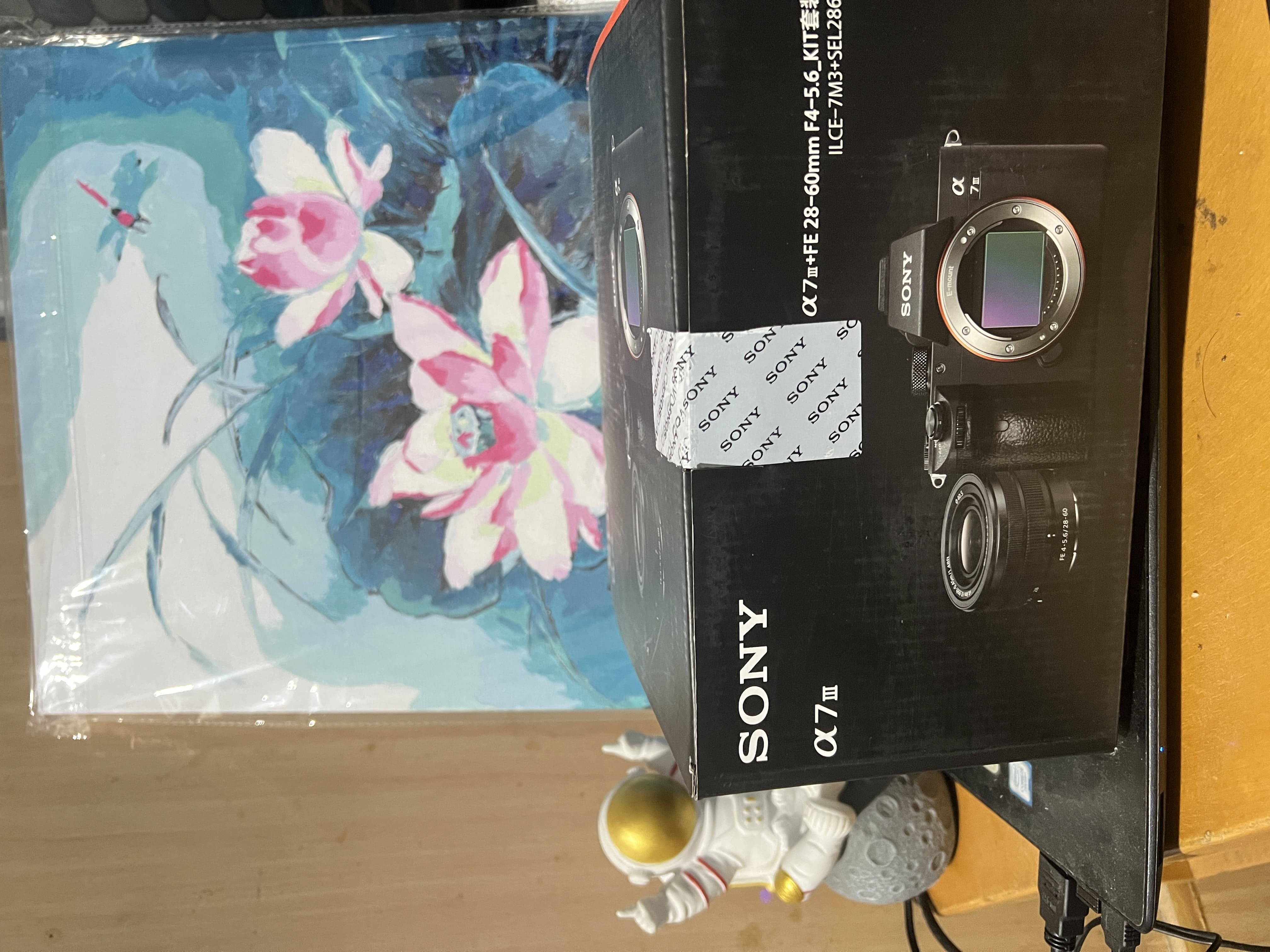 Sony a73