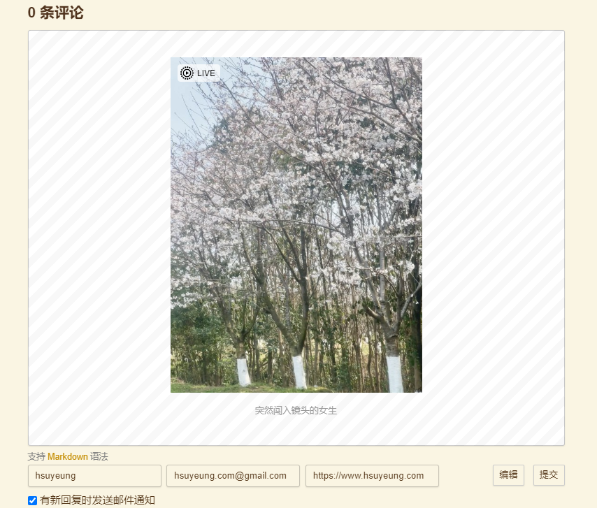 点击预览