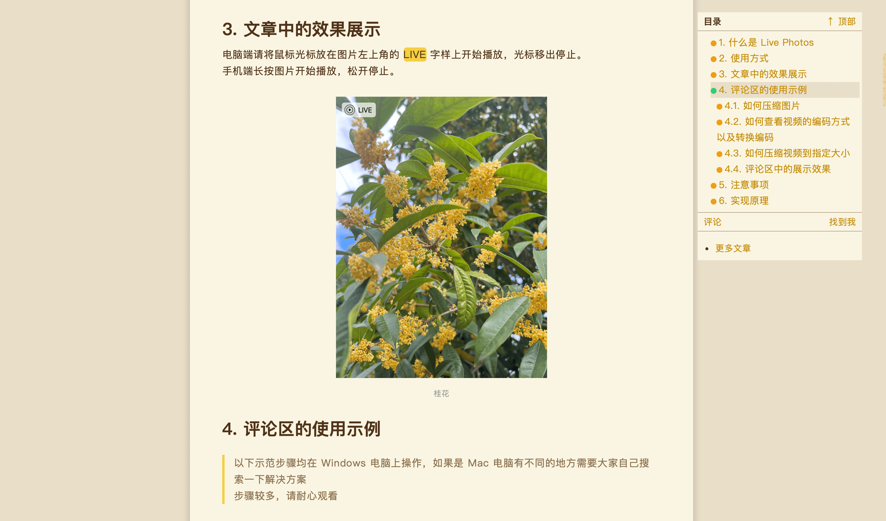 自己抄的
