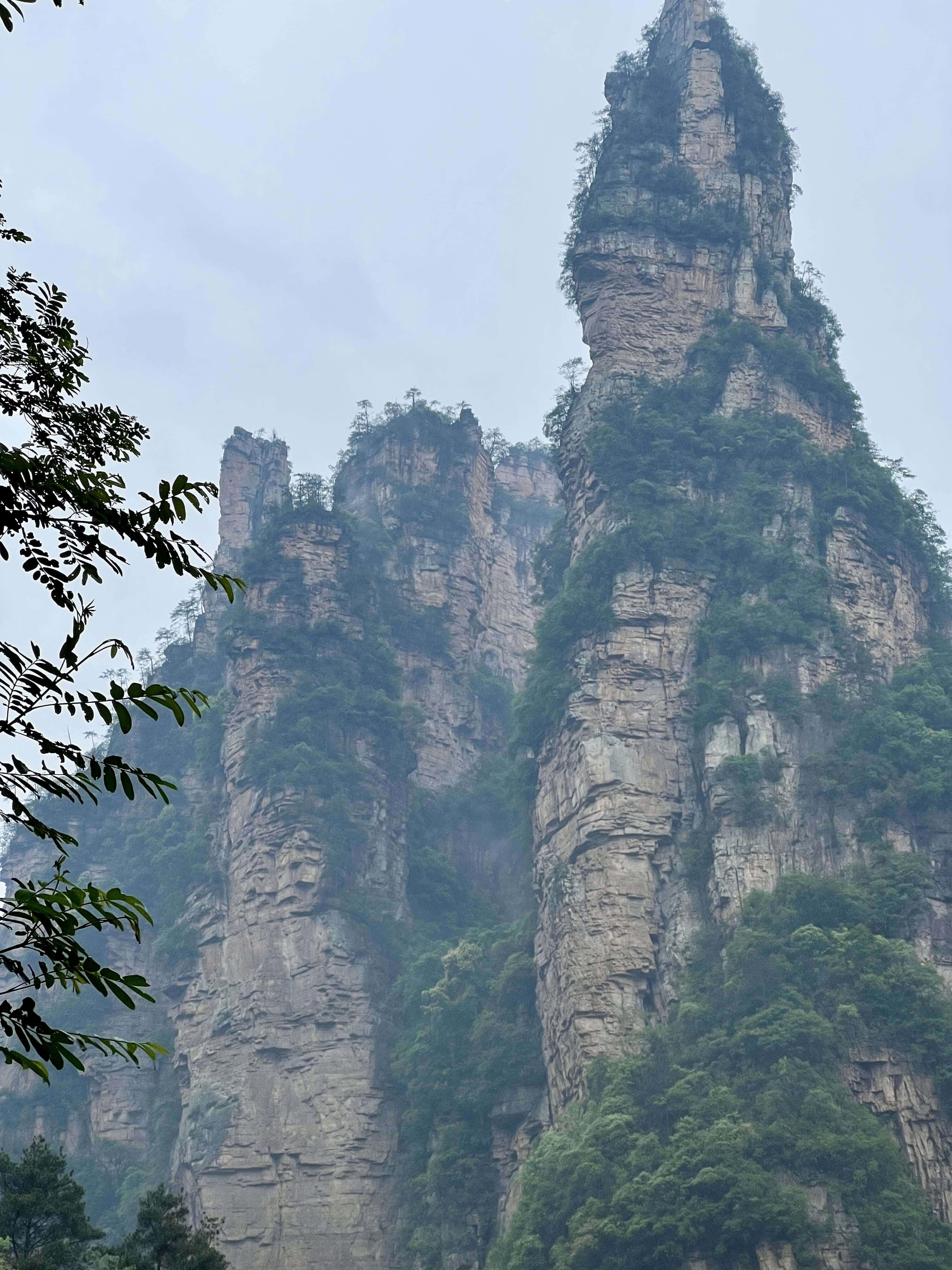 一根一根的山